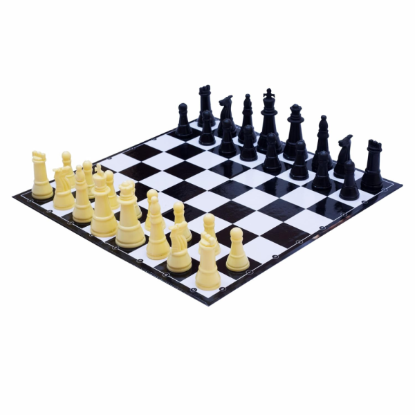 Parksons Brain Blaze Chess - Image 2